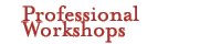 Professional Workshops