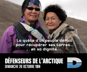 Canal D