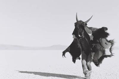 Adrian STIMSON, Buffalo Boy’s Don’t Look East Adrian STIMSON, Buffalo Boy’s Don’t Look East